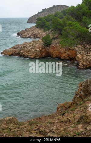 Europa, Spagna, Catalogna, Costa Brava, costa sulla baia di Cala de Montgó Foto Stock