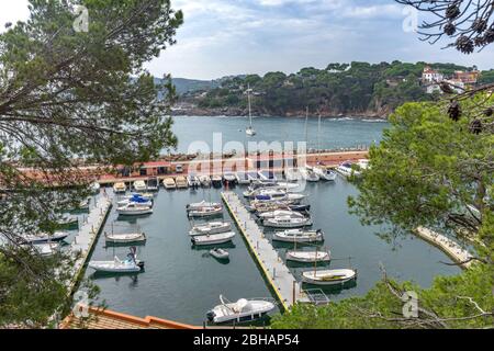 Europa, Spagna, Catalogna, Costa Brava, porto della città costiera di Llafranc sulla Costa Brava Foto Stock