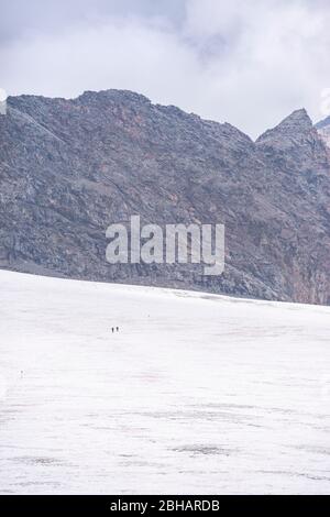 Europa, Austria, Tirolo, Alpi Ötztal, Vent, squadra di corda sulla strada per il Kesselwandferner alla Casa di Brandeburgo Foto Stock