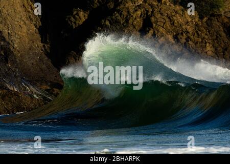 Onda che si schiantano sulla costa rocciosa, Cape Disappointment state Park, Washington, USA Foto Stock