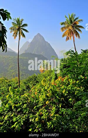 Paesaggio tropicale con i due Pitons, Gros Piton 770m e Petit Piton 743m, Soufriere, Santa Lucia, Lesser Antille, Indie Occidentali, Caraibi Foto Stock