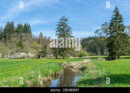 Germania, Baden-Württemberg, Gammertingen, riserva naturale Fehlatal, valle del Fehla, affluente del Lauchert. L'idilliaca zona escursionistica si trova nel Geopark Swabian Alban. Foto Stock