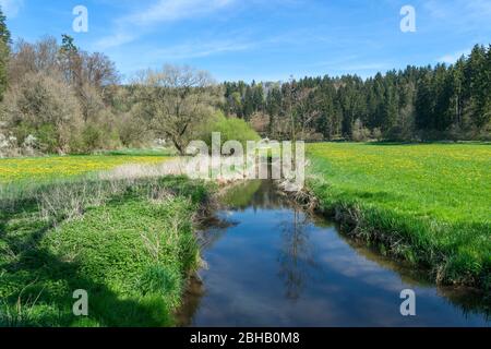 Germania, Baden-Württemberg, Gammertingen, riserva naturale Fehlatal, valle del Fehla, affluente del Lauchert. L'idilliaca zona escursionistica si trova nel Geopark Swabian Alban. Foto Stock