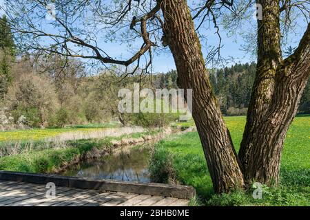 Germania, Baden-Württemberg, Gammertingen, riserva naturale Fehlatal, valle del Fehla, affluente del Lauchert. L'idilliaca zona escursionistica si trova nel Geopark Swabian Alban. Foto Stock