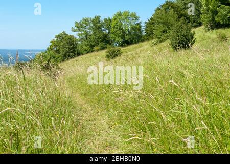 Germania, Baden-Württemberg, Bissingen an der Teck, percorre la riserva naturale Eichhalde nella biosfera Swabian Alb Foto Stock