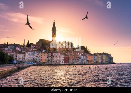 Tramonto nella città vecchia di Rovigno Croazia Foto Stock