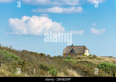 Danimarca, Jutland, Ringkobing Fjord, casa nelle dune. Foto Stock