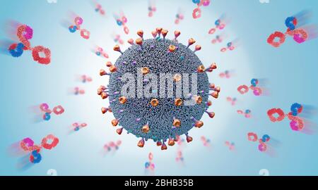 Anticorpi che attaccano il virus, illustrazione 3d. Il sistema immunitario del corpo rilascia immunoglobuline, o anticorpi, per attaccare gli agenti patogeni. Foto Stock