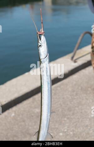 Danimarca, Midtjylland, Ringkøbingfjord, Hvide Sande Foto Stock