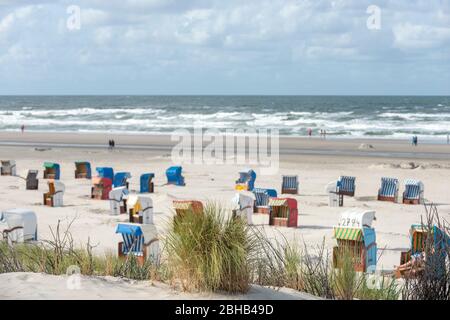 Germania, bassa Sassonia, Frisia Est, Juist, spiaggia con sedie a sdraio. Foto Stock