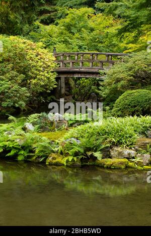 Stagno in Giardino Giapponese, Portland, Oregon, Stati Uniti Foto Stock