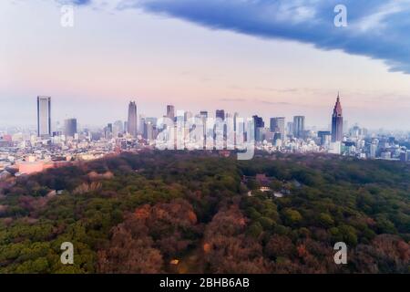 Parco pubblico nel mezzo della città di Tokyo vicino al CBD di Shinjuku e alla stazione con vista aerea all'alba. Foto Stock