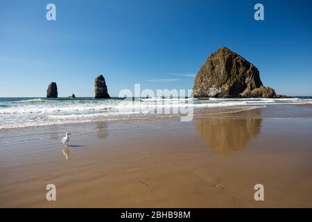 Vista della formazione rocciosa sulla costa, Cannon Beach, Oregon, Stati Uniti Foto Stock