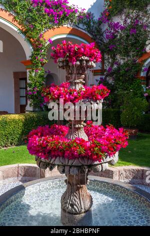 Fontana in hacienda coloniale decorato con fiori di bougainvillea a Tequisquiapan, Queretaro, Messico. Foto Stock