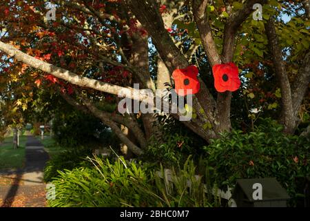 Papaveri rossi fatti a mano sull'albero dalla casella postale. Segnando giorno di Anzac a casa come il coronavirus tiene la NZ in blocco. Foto Stock