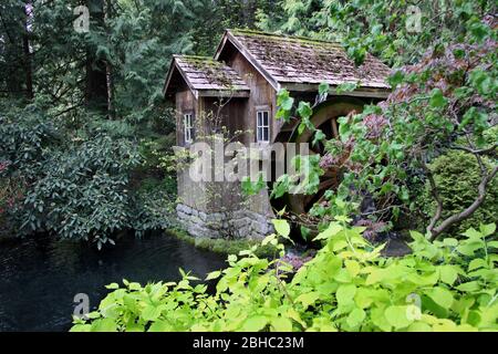 bella vista sul vecchio mulino ad acqua in stile vintage vicino allo stagno in boschi spessi, ruota rotante, tetto rustico con capanna. Foto Stock