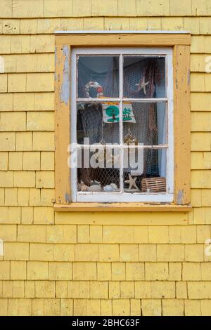 Negozio di articoli da regalo Seagull's Nest. façade verniciato giallo. Finestra decorata con rete da pesca, stelle marine e conchiglie. Legno-conchioni di legno. Porto nord rustico Foto Stock