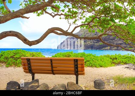 Panca vuota sotto i rami di alberi arbordati che si affacciano sull'oceano blu al parco della spiaggia di Makapu'u Foto Stock