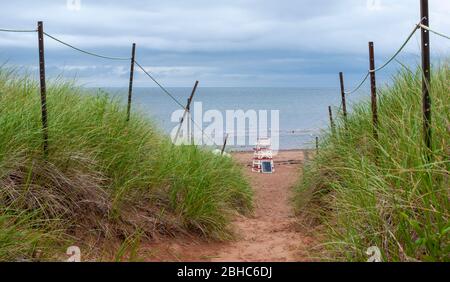 Percorso recintato attraverso dune di sabbia. Sedia bagnino su una spiaggia deserta fronte oceano. North rustico Beach, Prince Edward Island National Park, Canada Foto Stock