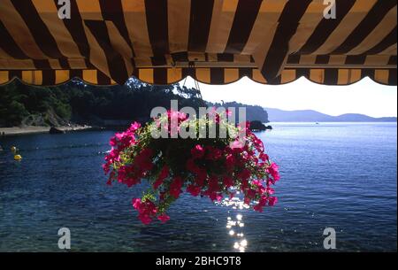 Anse Magaud a Tolone dal ristorante Chez Bernard Foto Stock