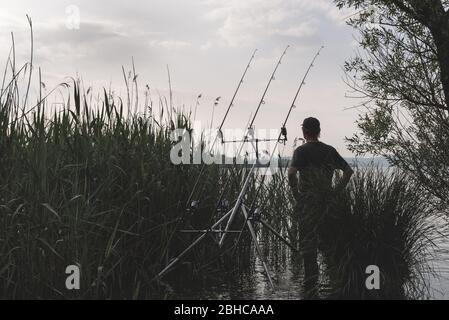 Avventure di pesca, pesca carpa. Uomo pesca sul lago Foto Stock