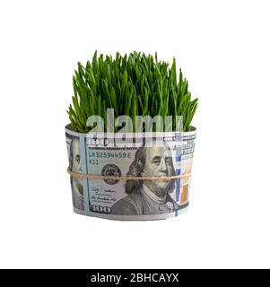 Germogliato erba verde ha avvolto cento dollari fatture Foto Stock
