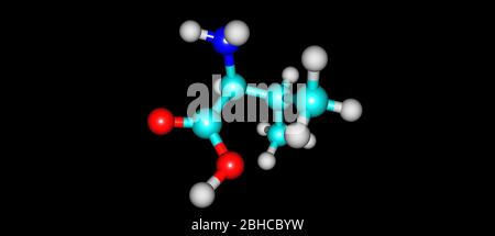 Valina o Val un amminoacido che viene usato nella biosintesi delle proteine. illustrazione 3d Foto Stock