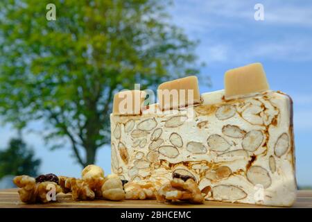 Delizioso tradizionale grande pezzo italiano o torrone con noci, noci in primo piano su un asse di legno. Fuoco selettivo. Albero in backkground Foto Stock