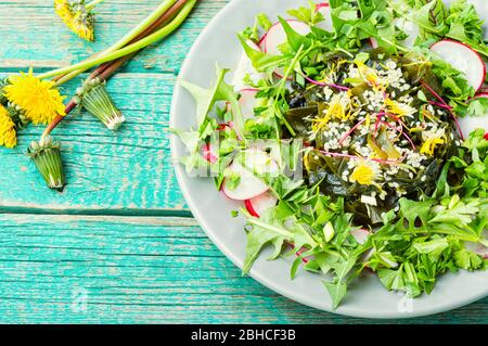 Insalata dietetica di alghe, erbe, semi di sesamo e ravanelli Foto Stock