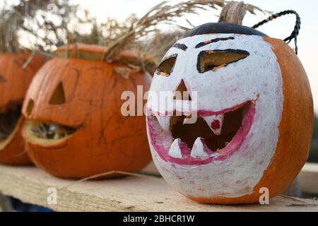 Festa della zucca all'aperto, evento autentico di Halloween, zucche intagliate a mano in linea, il più grande muro di zucca nel parco. Decorazioni di Halloween in natura, Foto Stock