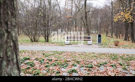 Una panchina vuota senza persone nel parco autunnale. Nel pomeriggio, gli alberi, il cielo e le foglie autunnali sono visibili sullo sfondo. Paesaggio autunnale con Foto Stock
