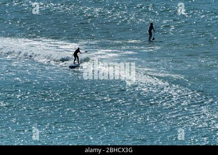I paddle boarders visti in silhouette sul mare a Crantock in Newquay in Cornovaglia. Foto Stock