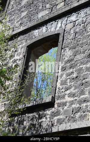 natura che rivendica la rovina di un vecchio mulino abbandonato Foto Stock