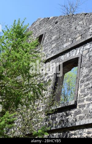 natura che rivendica la rovina di un vecchio mulino abbandonato Foto Stock