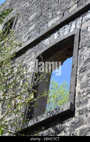 natura che rivendica la rovina di un vecchio mulino abbandonato Foto Stock