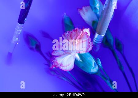 Fine Art Photograph - titolo 'Japanese paintbox' Concept - studio nella bellezza blu dell'arte creativa Foto Stock