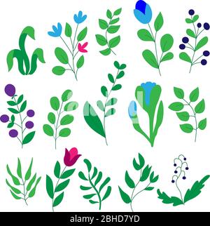 Set di foglie, fiori, ramoscelli su sfondo bianco in grafica vettoriale. Per la progettazione di carta da parati, illustrazioni botaniche, carta da imballaggio, tessuti Illustrazione Vettoriale