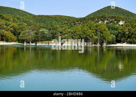 Lago Sukko, Krasnodar territorio, Russia. Cipresso boschetto nelle acque del lago. Un lago fantastico in montagna Foto Stock