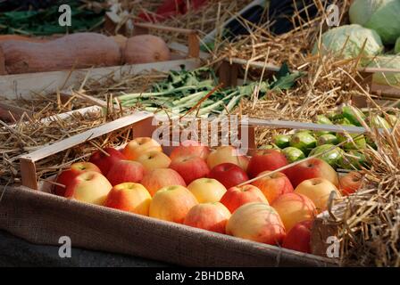 Una scatola di mele rosse in primo piano di un'esposizione di frutta e verdura coltivate localmente durante la celebrazione del Friuli Doc (Udine) del 2011 del cibo locale Foto Stock