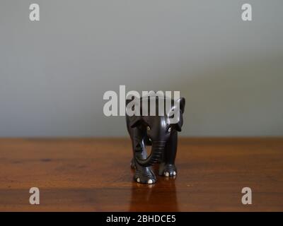 Elefante Ebony senza zanne d'avorio Foto Stock
