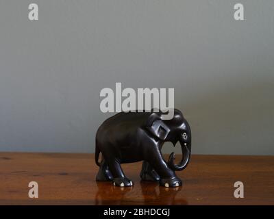 Elefante Ebony senza zanne d'avorio Foto Stock
