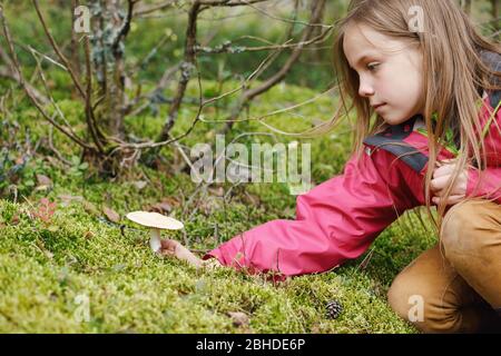 Bambina di età elementare ha trovato un fungo potenzialmente pericoloso mentre accampava in una foresta - rischio di bambino fungo avvelenamento concetto Foto Stock