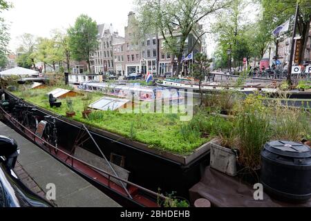 Un grande chiatta olandese con un giardino sulla cima, ormeggiata di fronte al Museo della Casa galleggiante, sul Prinsengracht, Amsterdam Foto Stock