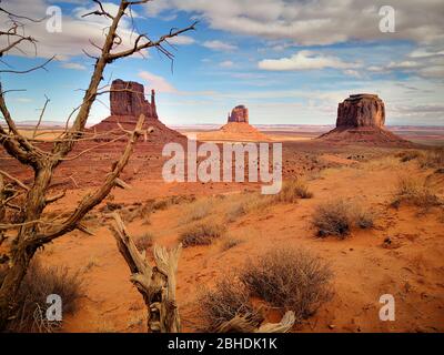 Monument Valley, vista con un albero morto in primo piano sull'altopiano del Colorado con le famose Buttes Mitten Butte e Merrick Butte Foto Stock