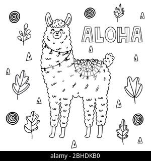 Colorare la pagina per adulti e bambini con llama divertente Illustrazione Vettoriale