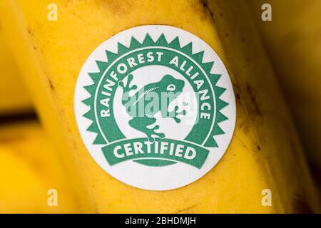 Logo Rainforest Alliance su una banana Foto Stock
