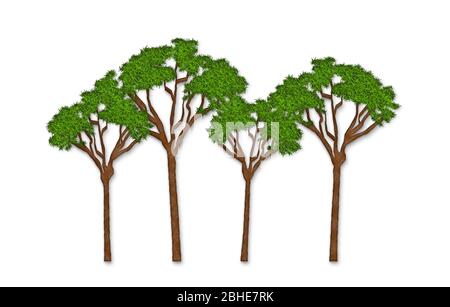 Semplice illustrazione di un albero verde su sfondo bianco Foto stock -  Alamy