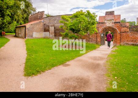 Ingresso al Garden Gate e muro con albero Magnolia al Fulham Palace, Bishop's Avenue, Fulham, Londra, Inghilterra, Regno Unito Foto Stock