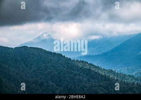 I verdi pendii delle alte montagne sono nascosti tra nuvole e nebbia. Nebbia pesante in montagna in una giornata nuvolosa. Cielo piovoso scuro. Strati di montagne in Th Foto Stock