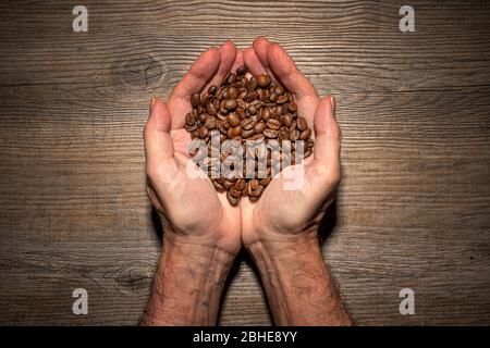 mani in mano con chicchi di caffè appena tostati Foto Stock